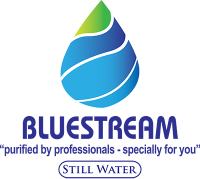 Bluestream Logo